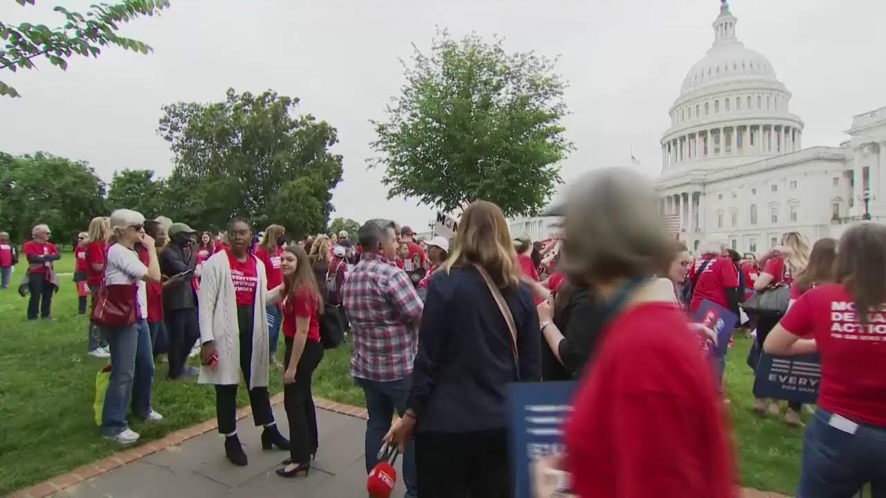Dem senators and gun-control advocates hold a news conference at the Senate swamp