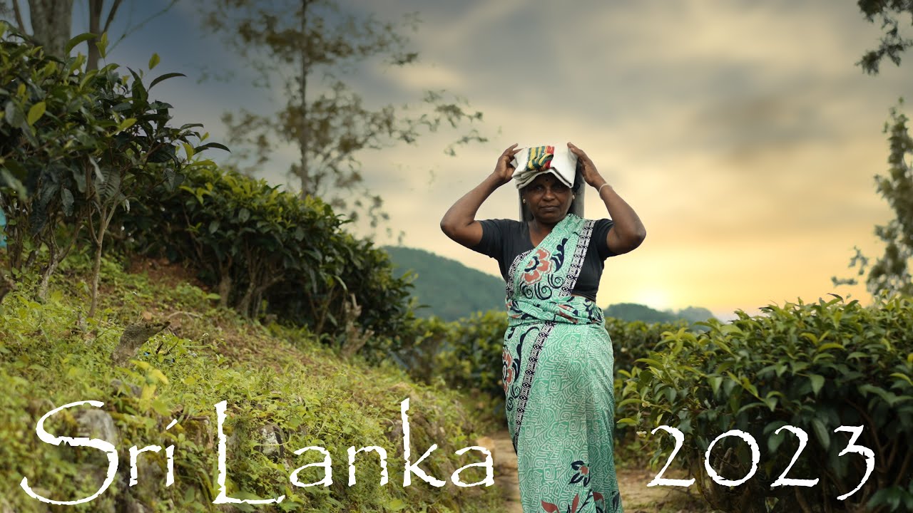 Sri Lanka 2023 - Pearl of the Indian Ocean - YouTube