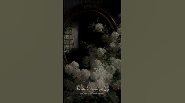 تلاوة من سورة طه ♥✨ للقارئ طــارق محمد 🌺💖