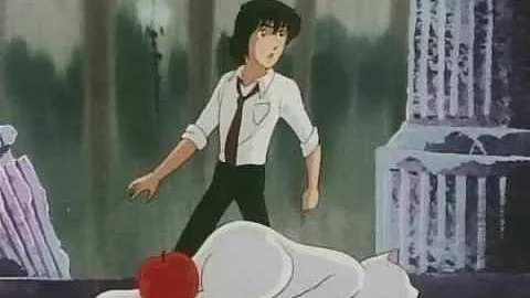 ときめきトゥナイト2