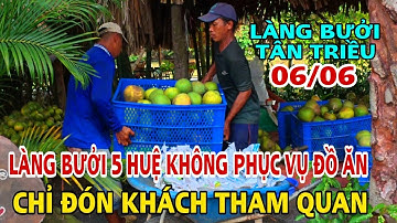MỚI NHẤT LÀNG BƯỞI TÂN TRIỀU LÀNG BƯỞI NĂM HUỆ KHÔNG PHỤC VỤ ĐỒ ĂN CHỈ ĐÓN KHÁCH THAM QUAN .