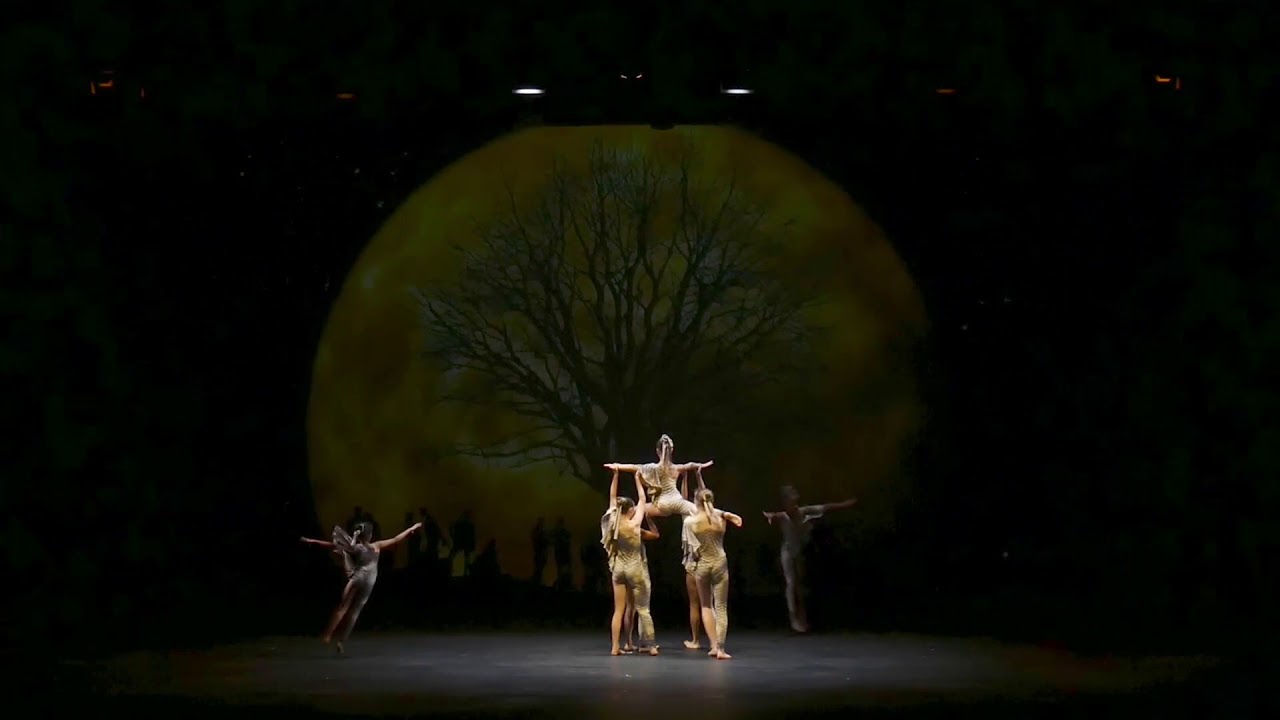 Red Shoe Dance Company