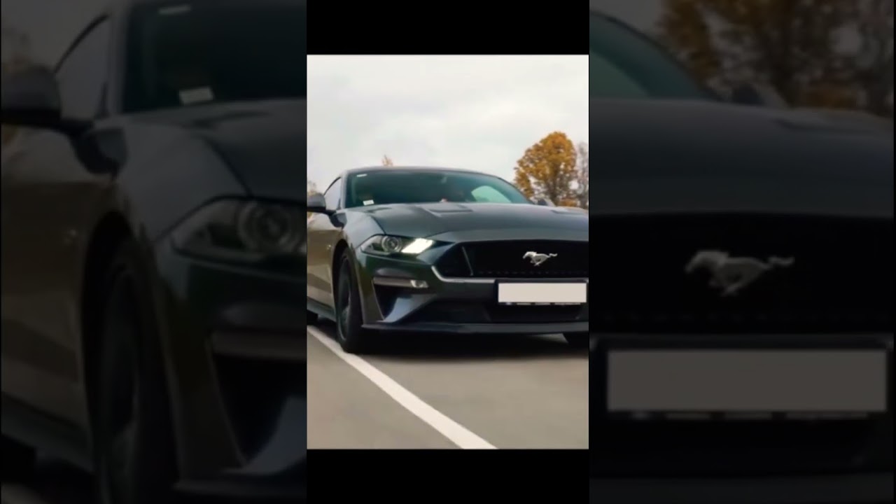Mustang revolution 🔥