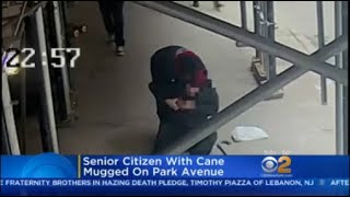 Police: Senior Citizen With Cane Mugged On Park Avenue
