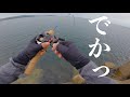 のんびり穴釣りしてたら凄い引きが・・