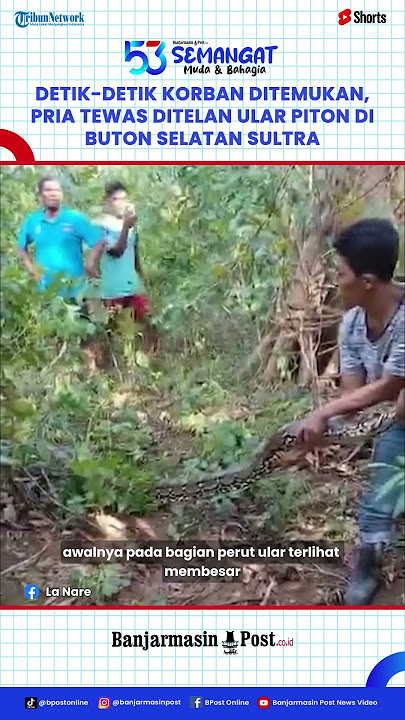 Mengerikan! Detik-detik Ditemukan Seorang Pria Tewas Ditelan Ular Piton di Buton Selatan Sultra