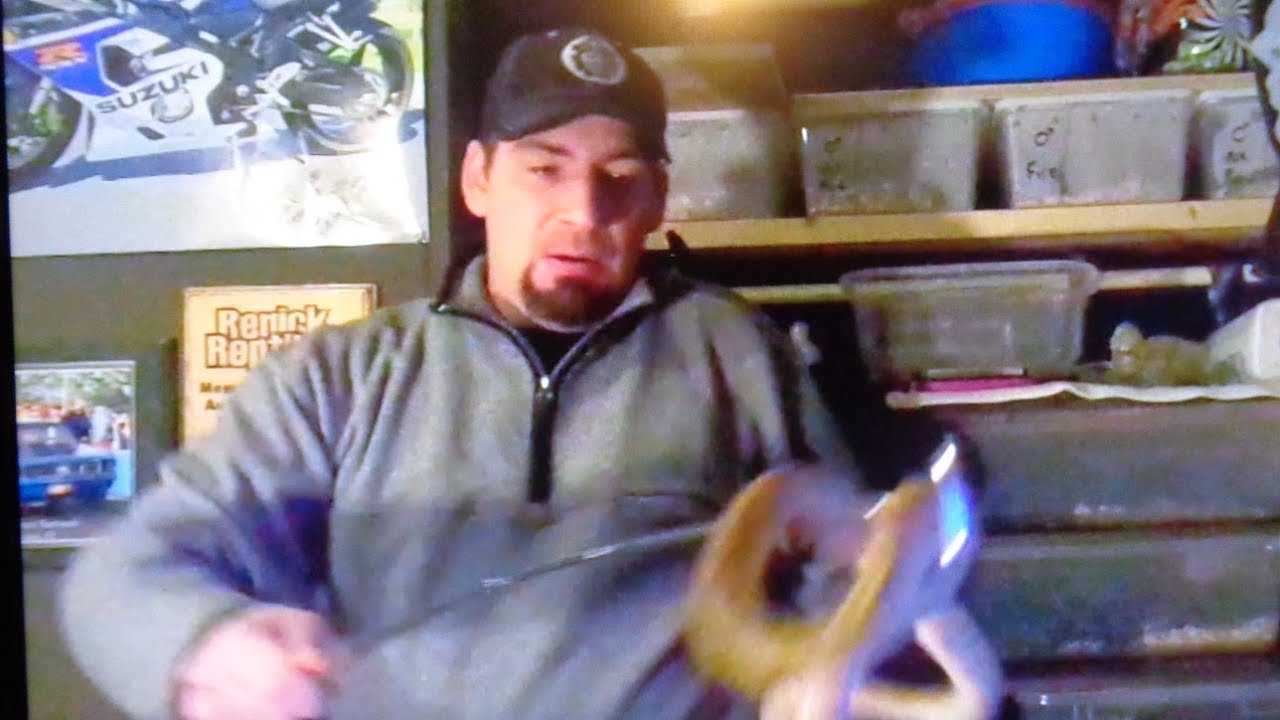 snake strike gif Almost bit by my amazon tree boa to funny. Snake strike!