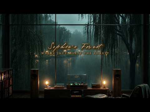 Willow Lake Jazz | Rainy Evening in Sophie's Forest