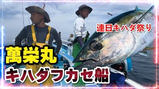 【萬栄丸】キハダフカセ船　HIT連発!!　連日キハダ祭り