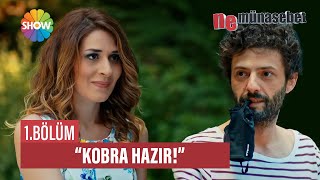 Çisil Ve Neco Birbirlerine Yakınlaştı Ne Münasebet