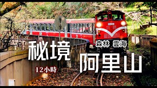 離天空最近的秘境山城阿里山四大奇景一次收集復古小火車高CP值鐵路便當⛅絕美森林雲海奮起湖❌阿里山TAIWAN【國旅玩什麼】