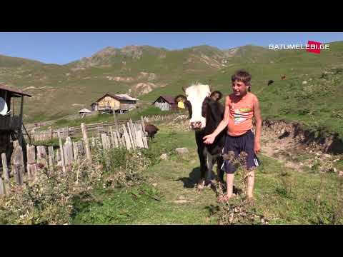 მემთეური ბიჭი ჩირუხიდან