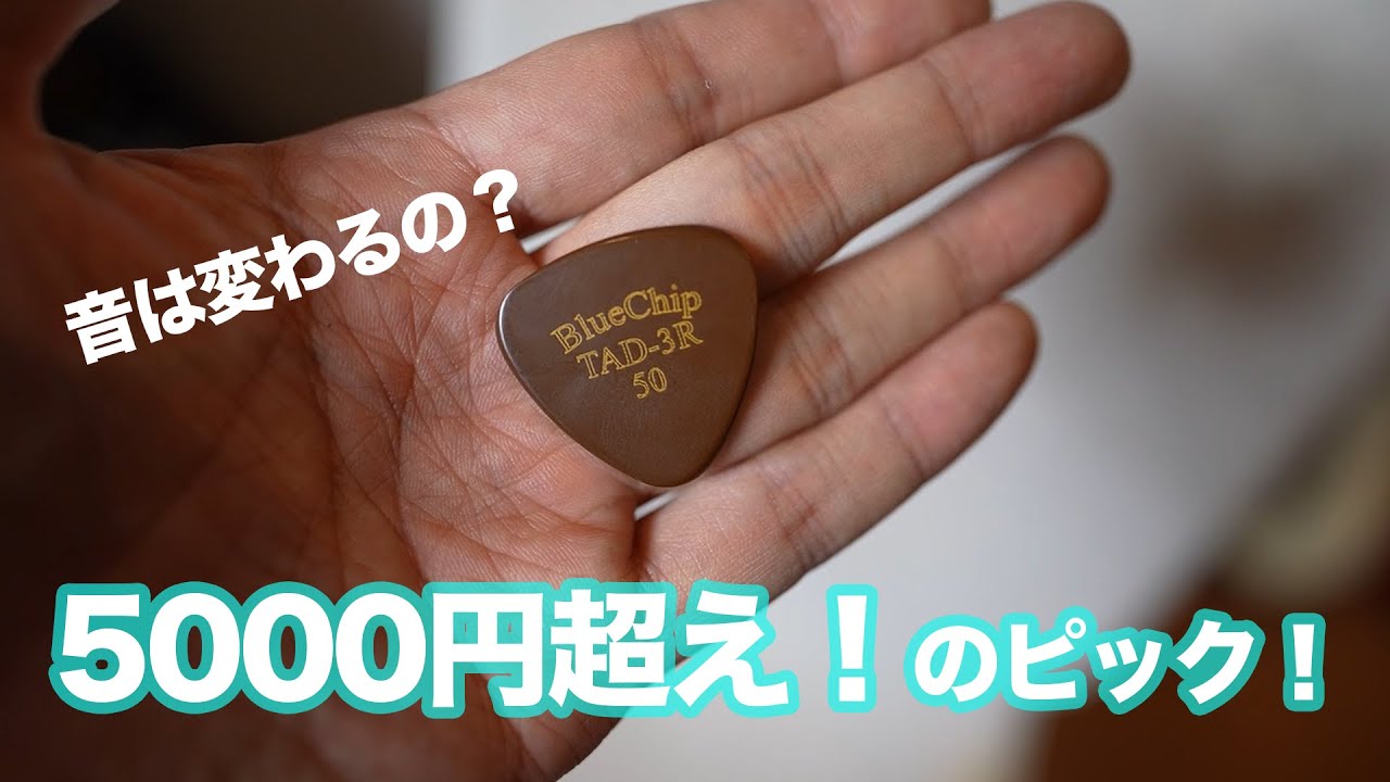 ピック　とてもレア物です。 驚き！】5千円超えの高級ピック！100円のピックとの差って！？【Blue