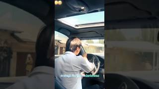 Kotta Bolla Yolga Chiqdi.