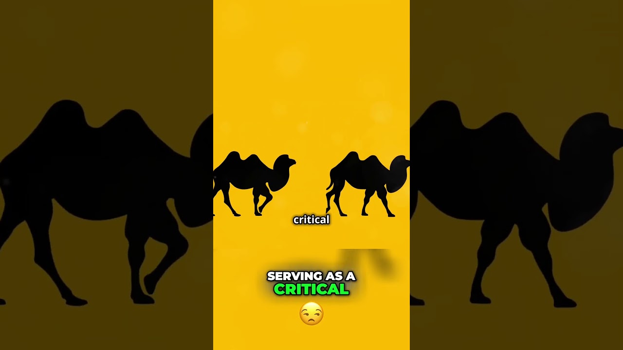 Unveiling the Incredible Adaptations of Camels! 