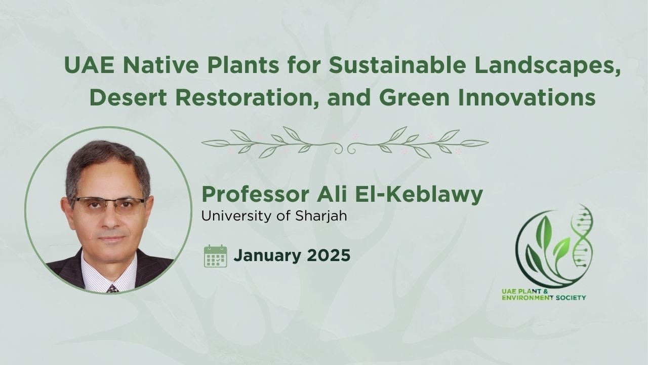 Using UAE Native Plants for Sustainable Landscapes, Desert Restoration, and Green Innovations