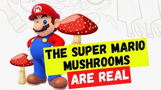 The SUPER MARIO Magic Mushroom is for Real | 5 Shocking Facts about Mushrooms