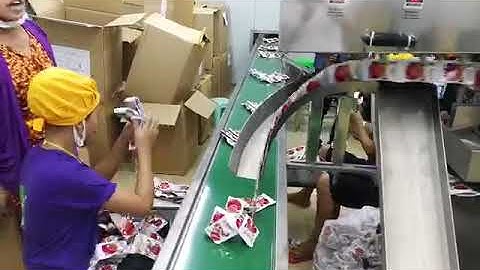 Coffee sachets high speed packing machine