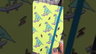 We can never have enough Dollar Tree notebooks!