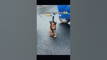 Just Some Memes #funny #lmaomemes #funnymemes #foryou #memes #lmao