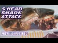 5 headed shark attack 2017 movie explained in hindi urdu  shark movie