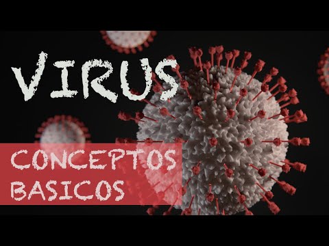 Vídeo: Diferencia Entre Prophage Y Provirus