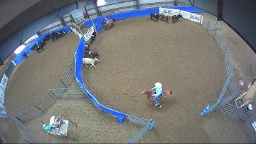 Big Sky Ranch Sorting Saddle Series #4 - YOUTH RANCH HAND - Round #1 - Ride #8