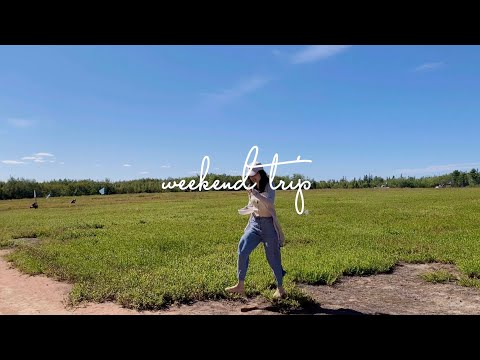 Видео: Vlog#4 Fresh berries for a PEI summer│浆果的夏天