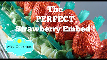 The PERFECT Strawberry Embed Mold!