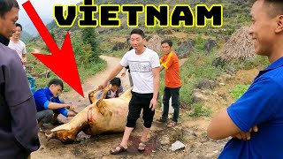 Vietnam'da Köyde İlginç Bir Törene Denk Geldim Motorsiklet ile Vietnam Turu / 414