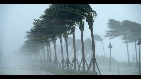 سورة الحجر و تلاوة ممتازة ما شاء الله- تلاوة خاشعة للقارئ عمير شميم ¦¦طمأنينة وراحة