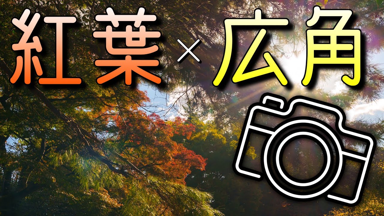 Explore the beginning of autumn with a wide-angle lens! Why