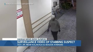 HPD seeks public's help in find Waikiki stabbing suspect
