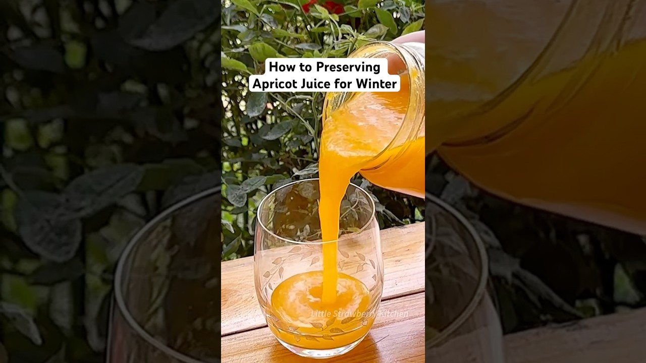 How to preserving apricot juice for winter!