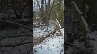 Zamarnięta naturalna retencja.