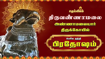 🔴LIVE : பிரதோஷ வழிபாடு பெரிய நந்தி திருவண்ணாமலை அண்ணாமலையார் திருக்கோயில்