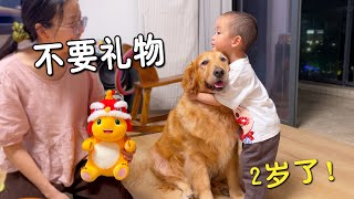 小主人不要生日礼物只要狗狗