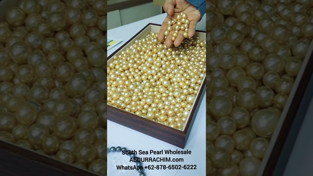 South Sea Pearl Wholesale 👉 WhatsApp +6287865026222 