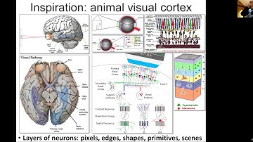 MIT Deep Learning Genomics - Lecture 3 - Convolutional Neural Networks CNNs (Spring 2020)