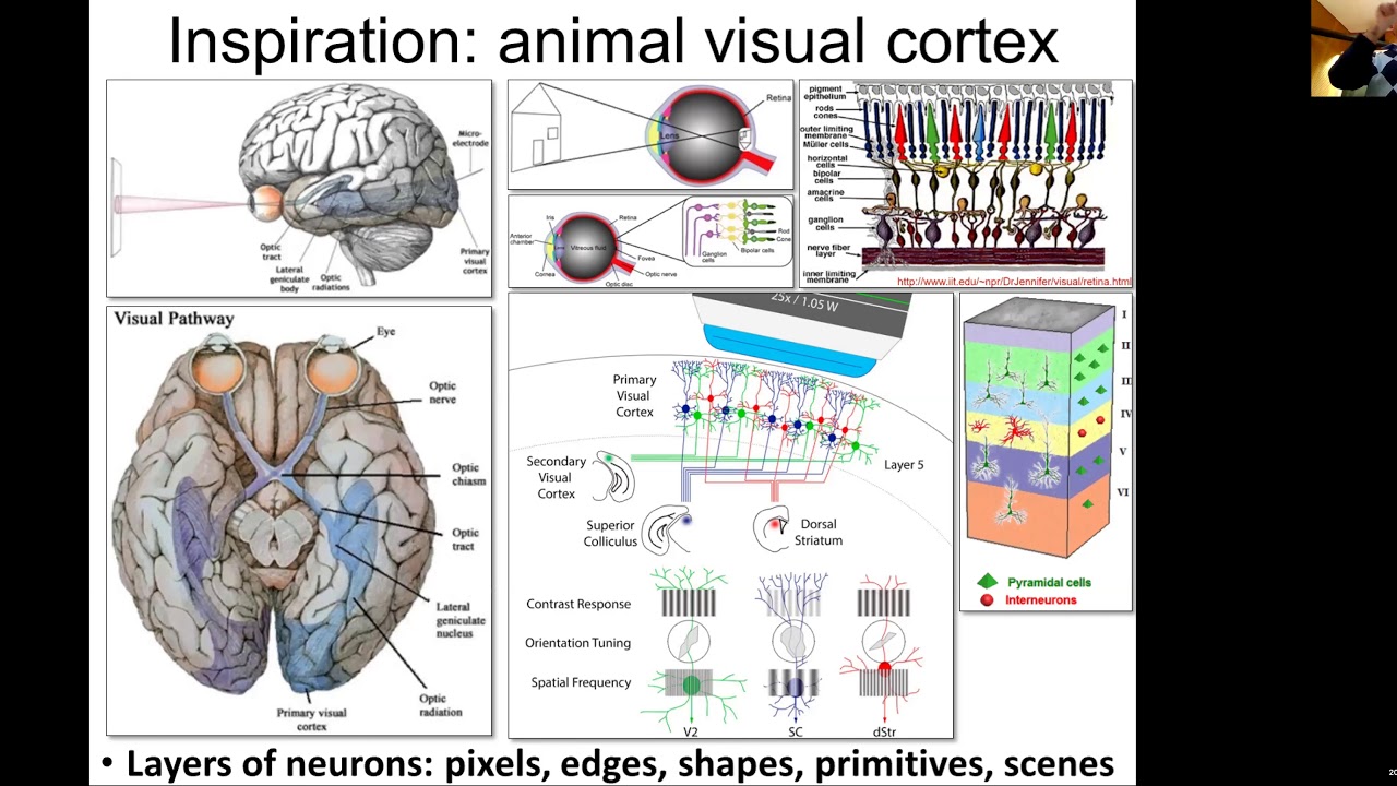 MIT Deep Learning Genomics - Lecture 3 - Convolutional Neural Networks CNNs (Spring 2020)