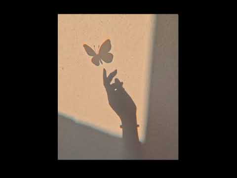 حلم و حقيقه