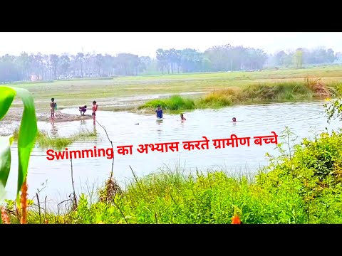 तालाब में तैराकी का अभ्यास करते हुए ग्रामीण बच्चे ||Village masti of children || Nature With Krishna