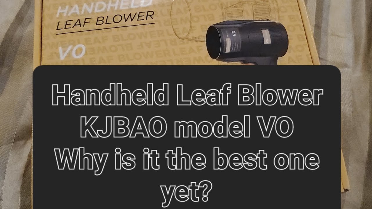 MUST BUY: Why this is the best handheld leaf blower yet?