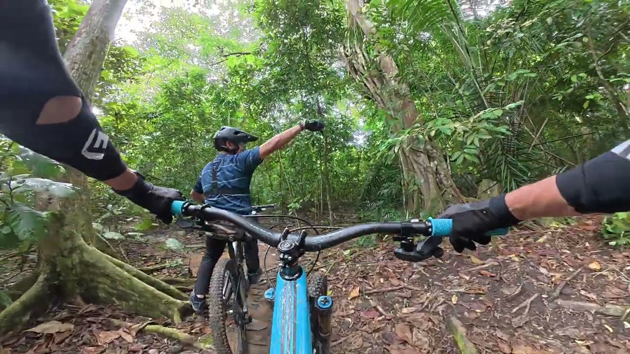 Chestnut Nature park to Dark Crawler trail Chestnut North