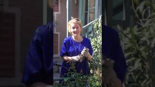 WFO2020 | Postcards from Wexford | Anne Sophie Duprels