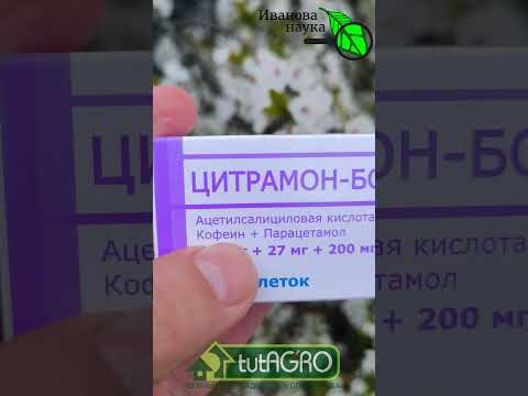 🐝☕ 1 КОПЕЕЧНАЯ ТАБЛЕТКА на 100 литров! Секрет как завалить сад урожаем. Самый простой способ.