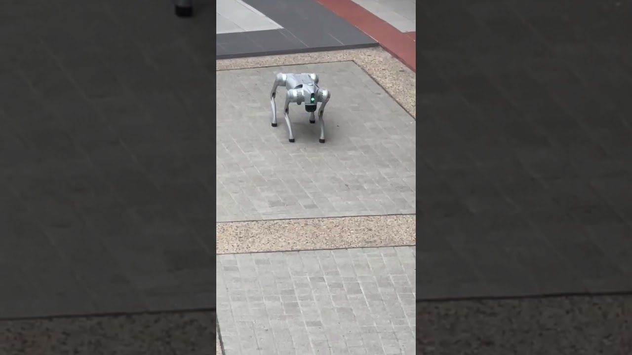 Robot Dog 