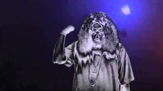 HooNoz- Distant Flickering (Official Music Video)