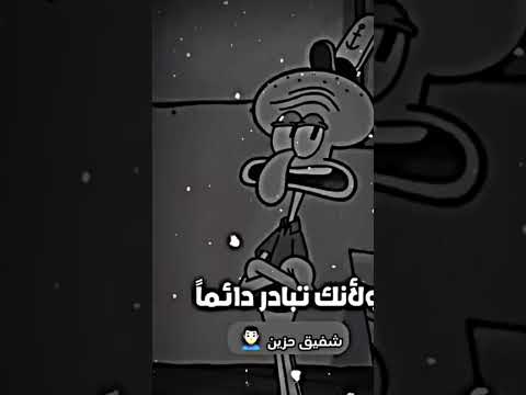 انها حكم شفيق