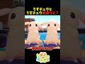 【ぽこあポケモン】うすチュウとうすチュウが出会うと？